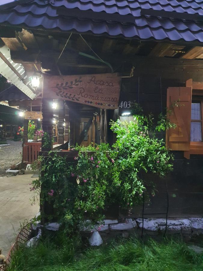 La Romaneasa Săpînţa Exterior foto