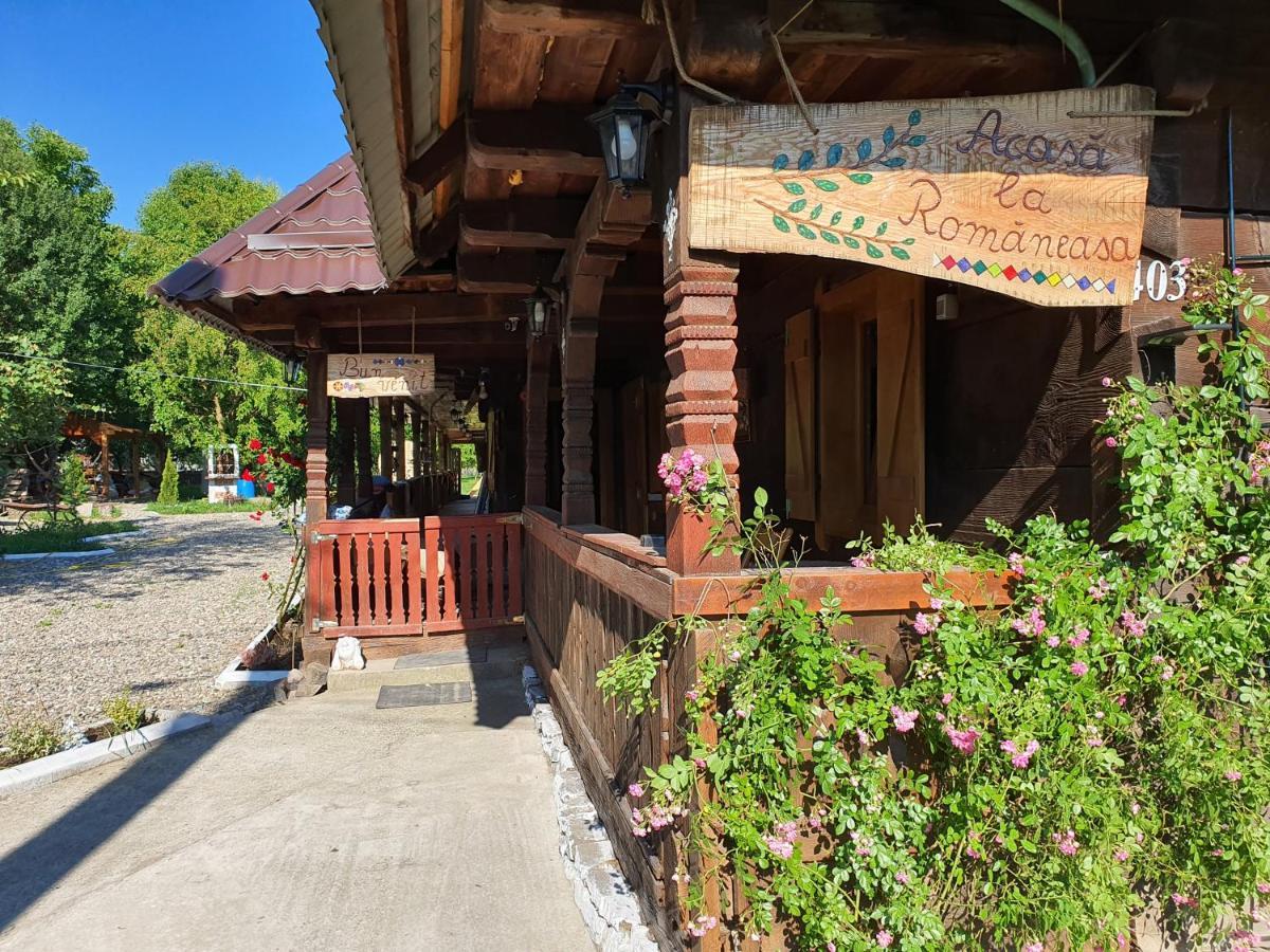 La Romaneasa Săpînţa Exterior foto