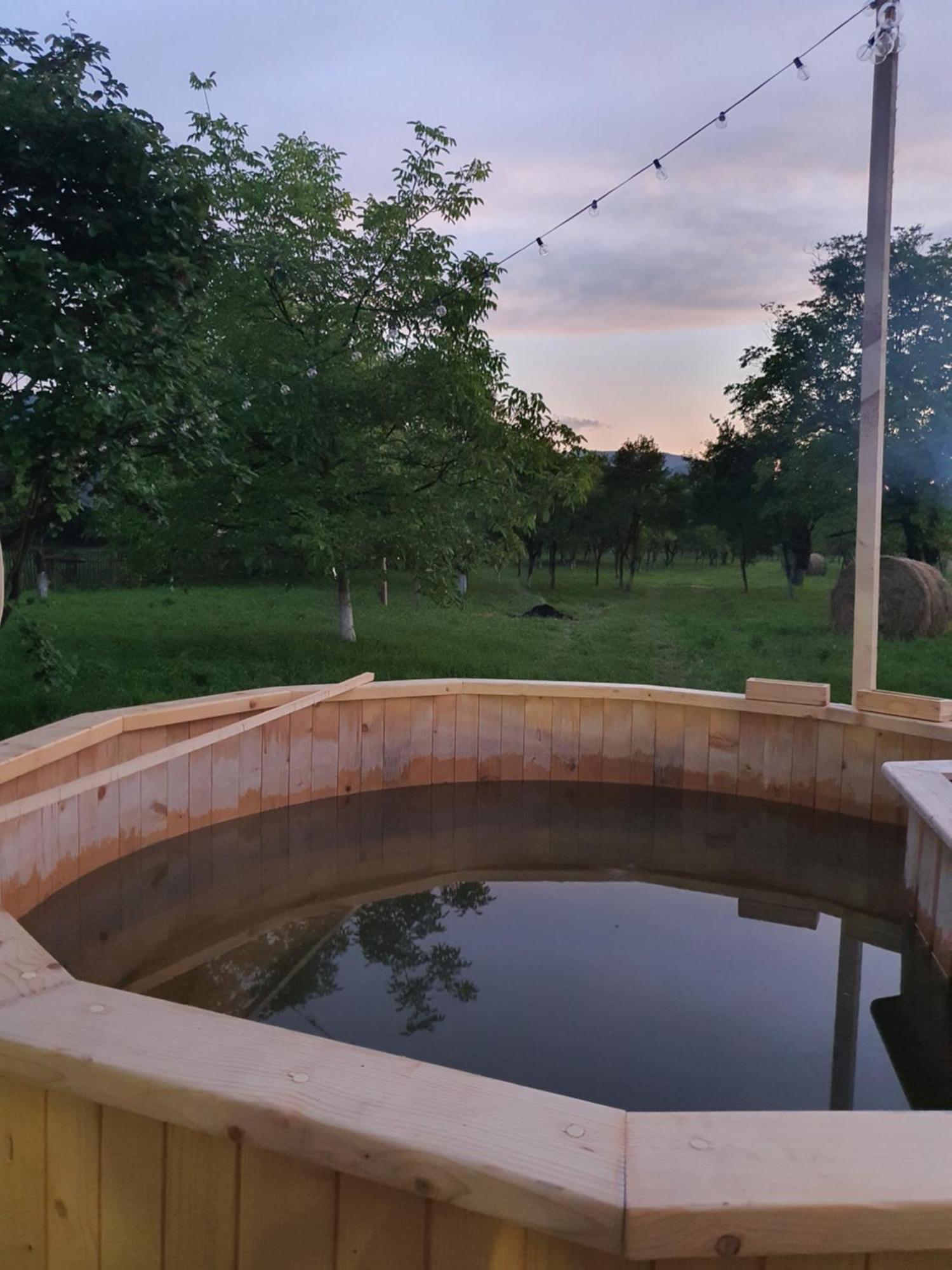 La Romaneasa Săpînţa Exterior foto